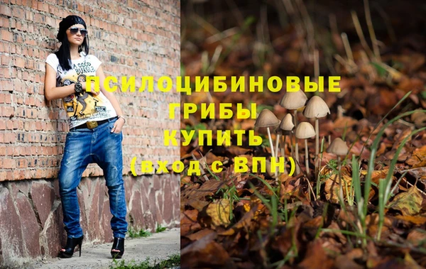 гидропоника Архангельск