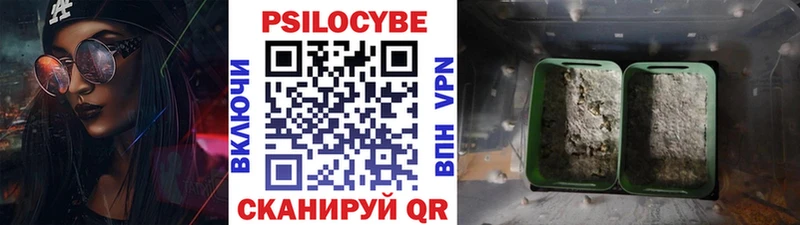 Купить где  Покачи  Галлюциногенные грибы ЛСД 